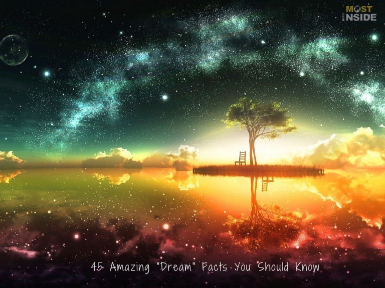45 Amazing DREAM Facts You Should Know