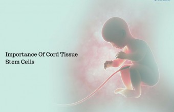 Importance Of Cord Tissue Stem Cells