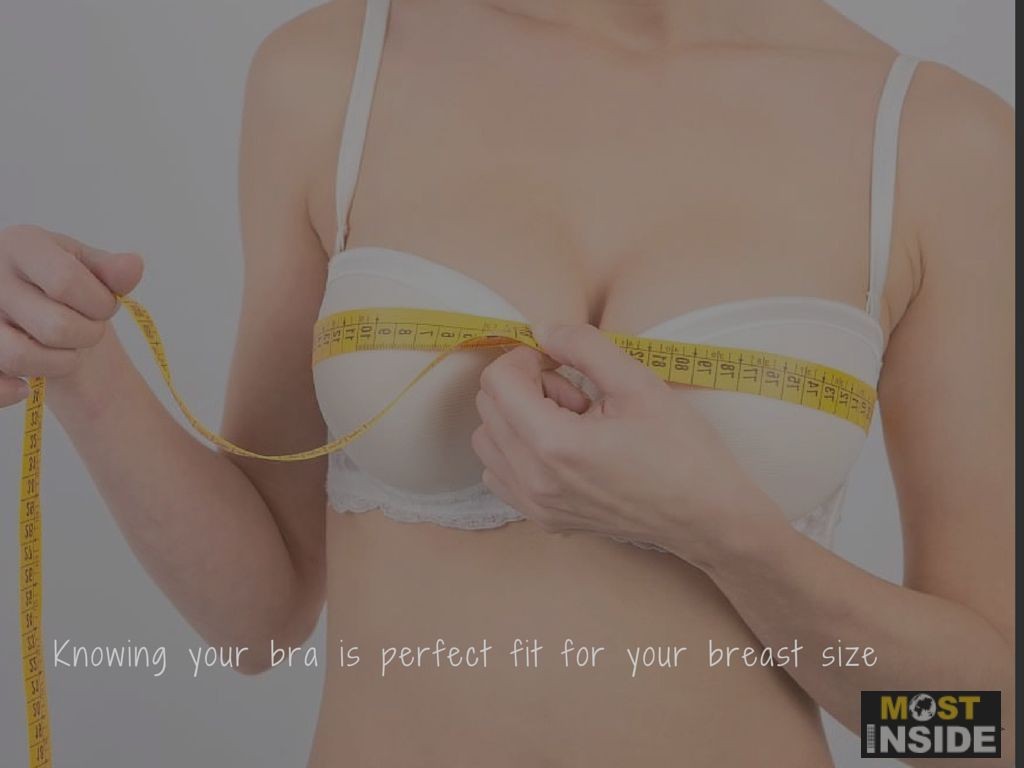 Amazing Bra Facts