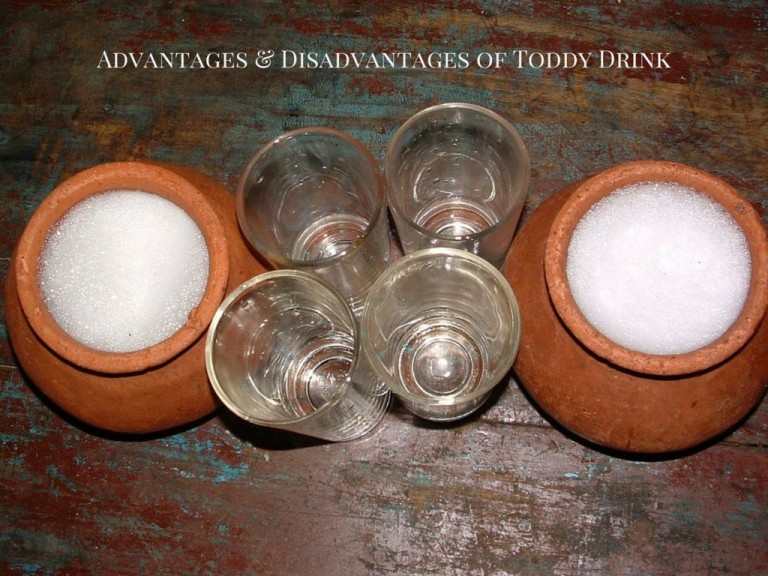 Advantages & Disadvantages of Toddy Drink
