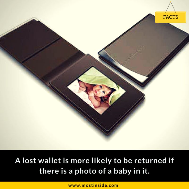 lost wallet facts