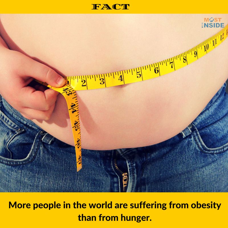 Obesity Facts