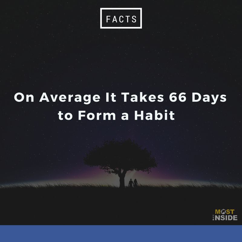 Habit Facts