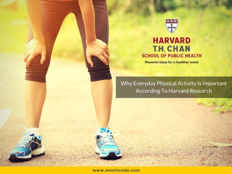 Why Everyday Physical Activity Is Important According To Harvard Research?