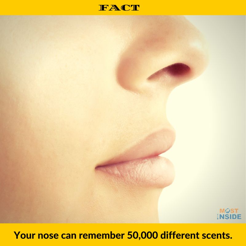 Nose Facts