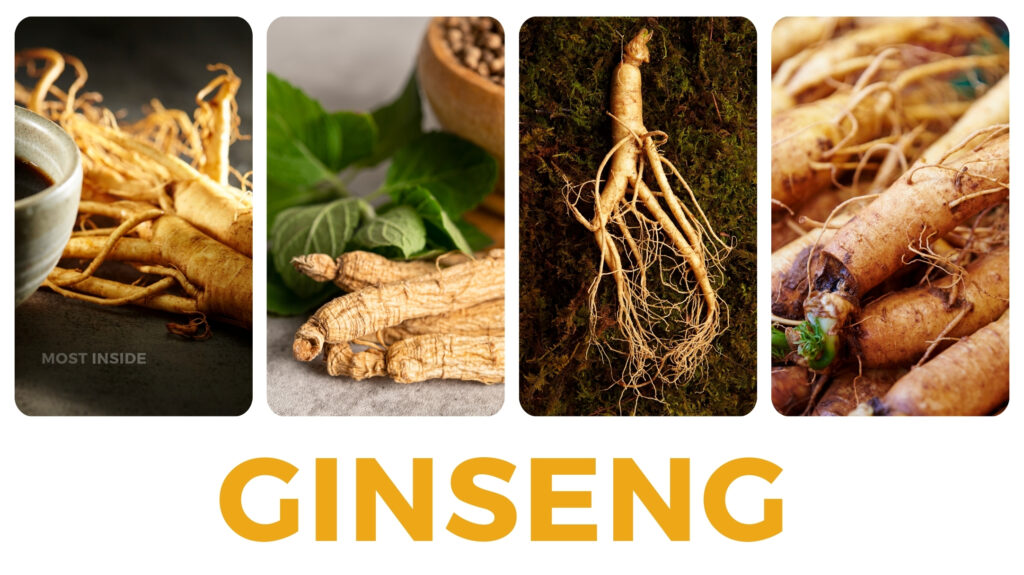 Ginseng