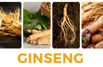 Why Should We Consume Ginseng?