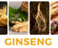 Why Should We Consume Ginseng?