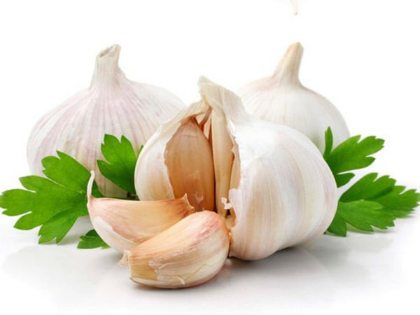 Garlic Don’t Have to Refrigerate