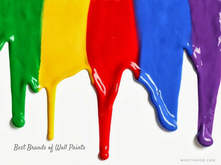 Best Brands of Wall Paints in India