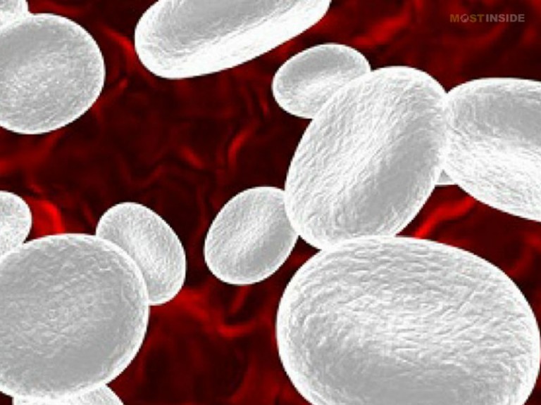 How to Boost White Cell Count?