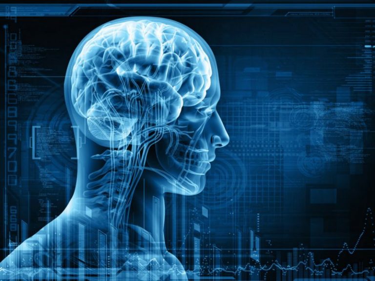 7 Eating Habits To Smartly Improve Your Brain’s Health