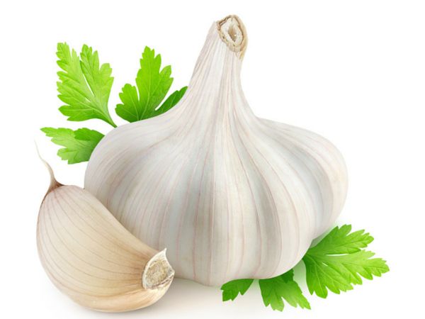 Garlic Photos