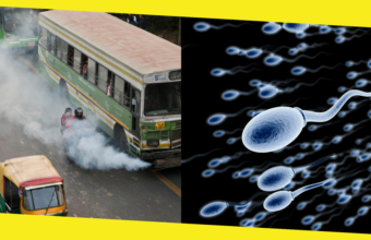 Air Pollution Can Affect Sperm Negatively- Says The Research