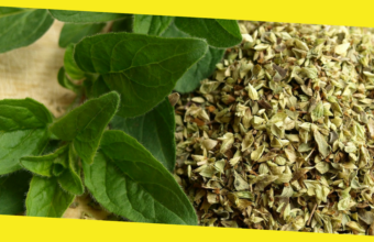 Here’s Why Oregano Should Be An Indispensable Part Of Your Diet