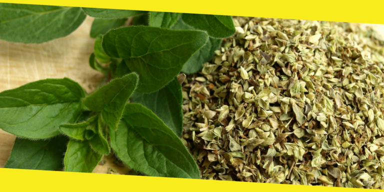 Here’s Why Oregano Should Be An Indispensable Part Of Your Diet