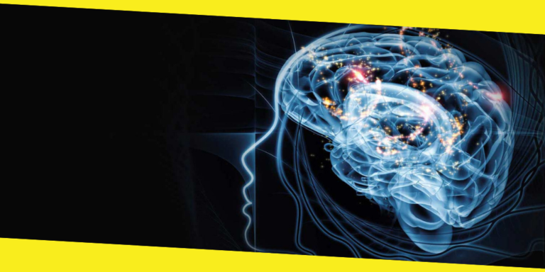 Psychology: The Study of Human Brain