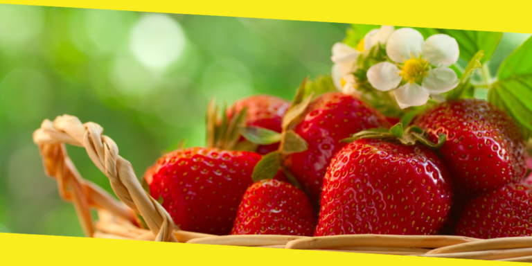 The Healthy Benefits of Strawberries
