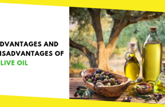 Advantages and Disadvantages of Olive Oil