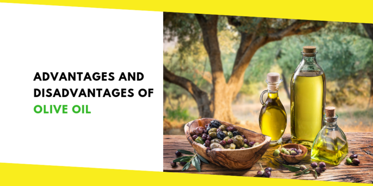 Advantages and Disadvantages of Olive Oil