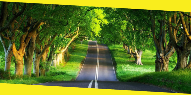 Driving Around in NCR – Self Drive Adventures