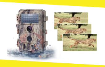 Best Trail Camera “The Best Gadget For The Wildlife Photography”