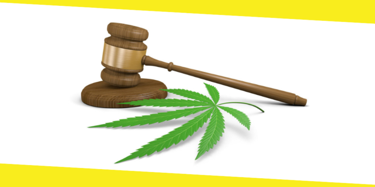 What New Recreational Cannabis Laws Mean to the Canadian Medical Marijuana Market