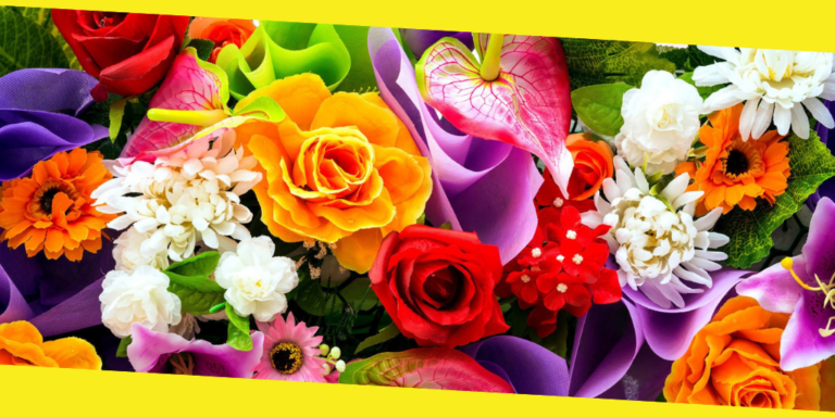The Connection Between the Color of the Flower and the Message It Conveys