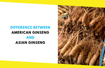 Difference Between American Ginseng and Asian Ginseng