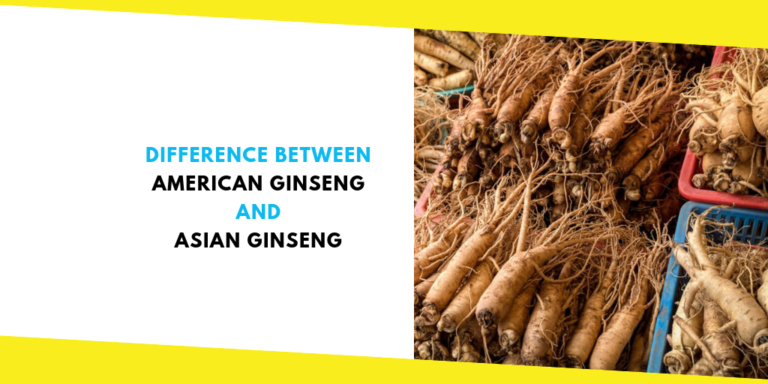 Difference Between American Ginseng and Asian Ginseng