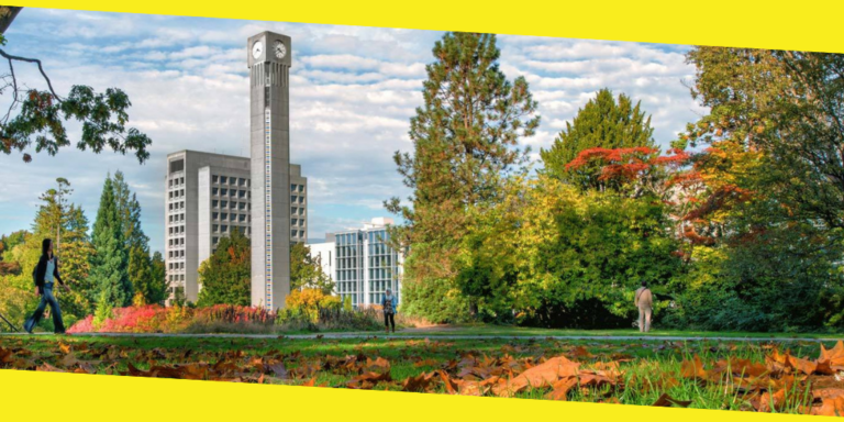 Best Online MBA Programs in Canada