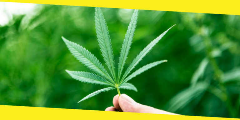 Colombian Cannabis Could be Canada’s Cash Cow