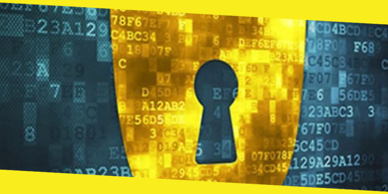 Importance of Protecting Your Company’s Network Against Cyber Vulnerability