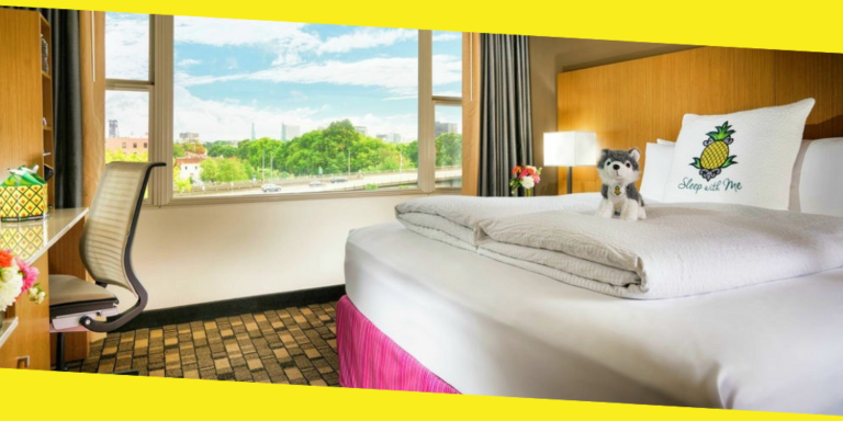 4 Tips for Staying at the Hotel With a Dog