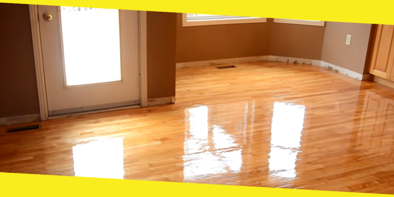 Top 5 Best Vacuums for Hardwood Floors and Shag Carpets