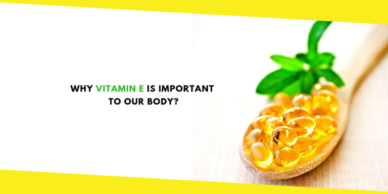 Why Vitamin E Is Important To Our Body?