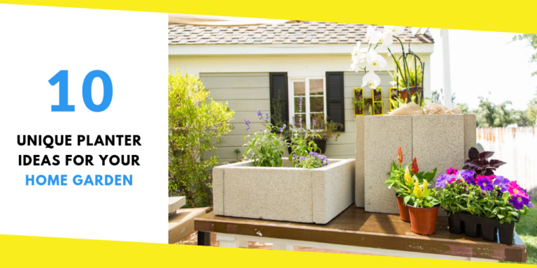 10 Unique Planter Ideas for Your Home Garden