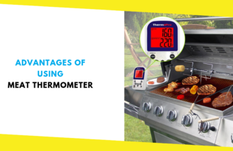 Advantages of Using Meat Thermometer