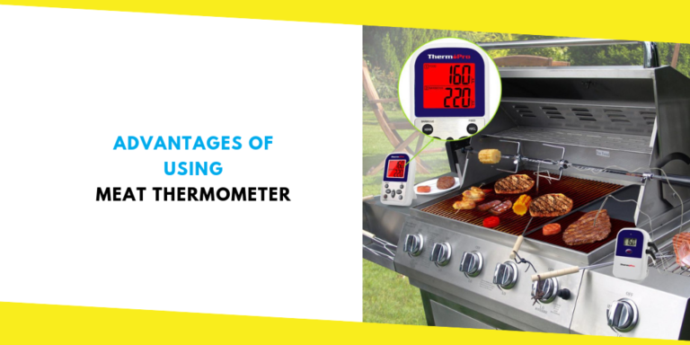 Advantages of Using Meat Thermometer