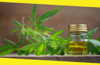 Top 3 Benefits of CBD Oil