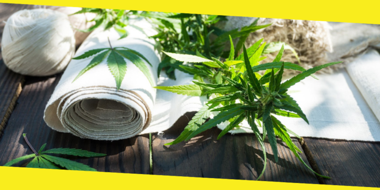 How to Choose the Right Place to Buy Hemp Products?
