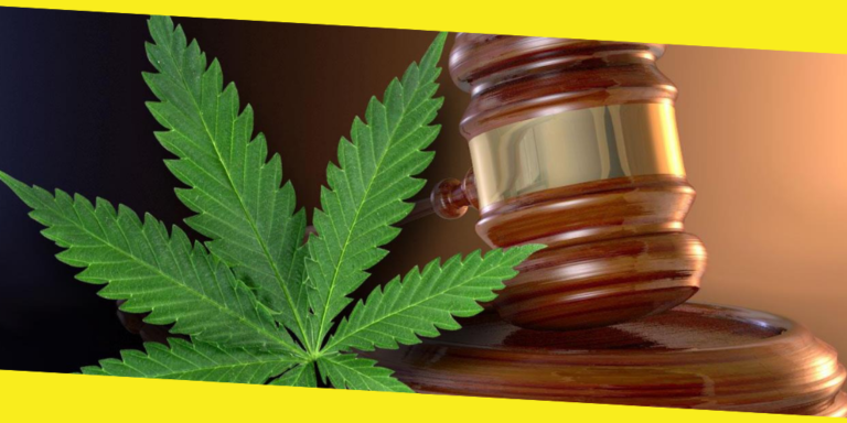 Everything You Need To Know About the Marijuana Laws in California