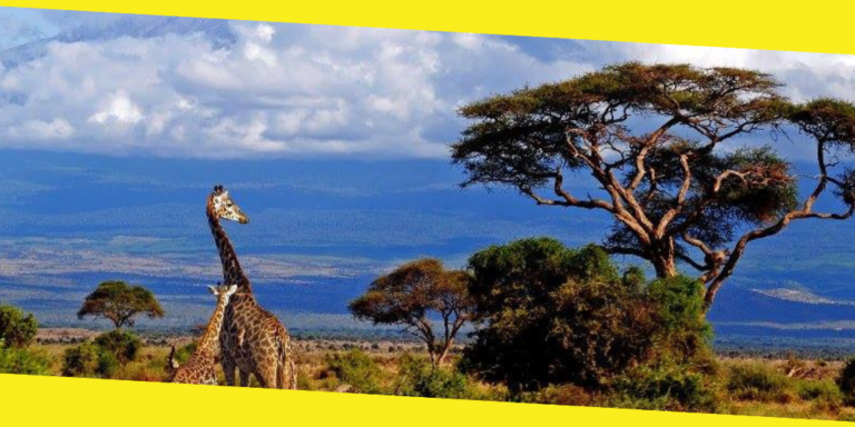 Where to Stay on a Tanzanian Safari