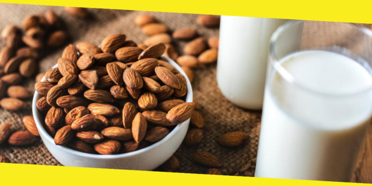 Why Milk Should Be a Daily Part of Our Diet?
