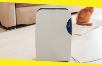 Take a Deep Breath: The Amazing Air Purifier Benefits You Should Know