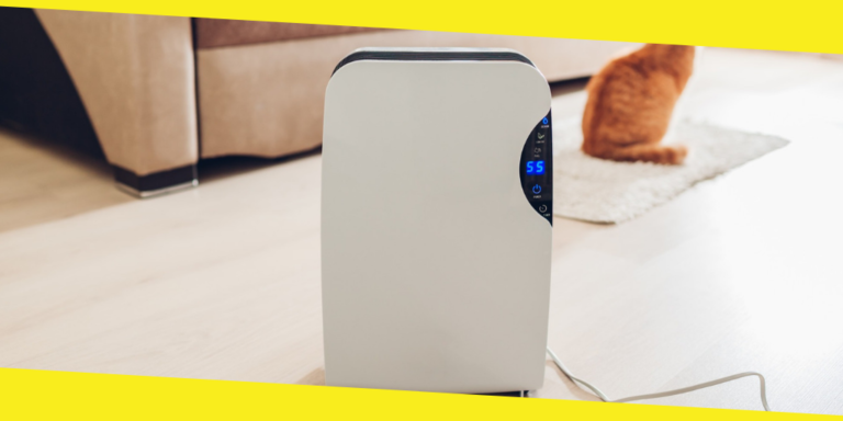 Take a Deep Breath: The Amazing Air Purifier Benefits You Should Know