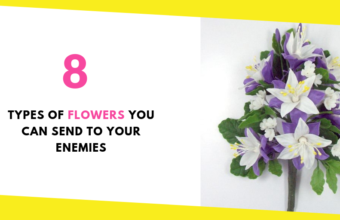 8 Types of Flowers You Can Send to Your Enemies