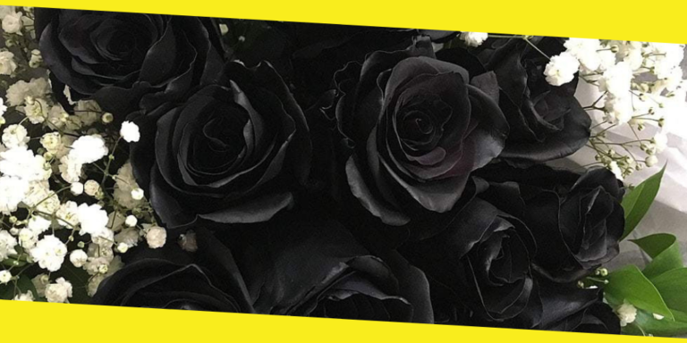 10 Flowers That You Should Never, Ever Give as a Gift