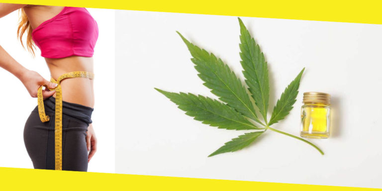 How CBD Can Help With Weight Loss
