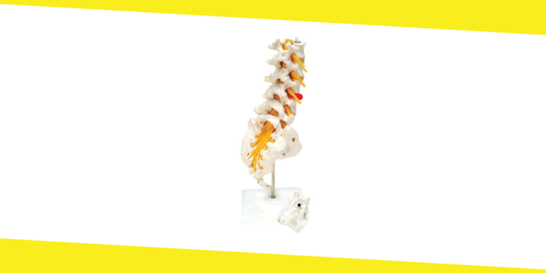 How to Maintain a Healthy Lumbar Spine